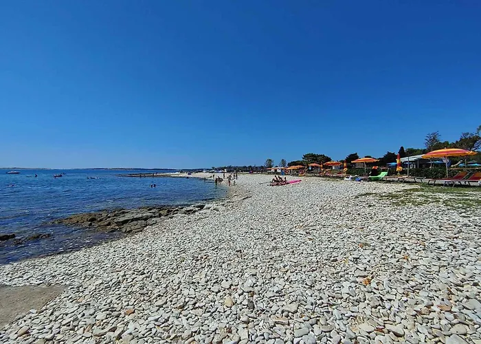 Mobile Homes With Pool In Medulin-istrien 38800 Holiday park Medulin