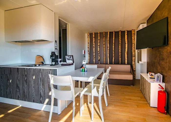 Mobile Homes With Pool In Medulin-istrien 38800 Holiday park